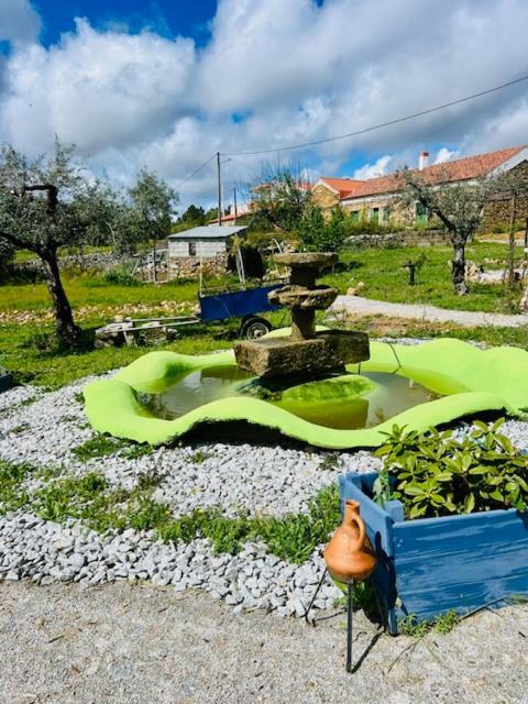 Zion Jardim Monsanto Bed and Breakfast Exteriör bild