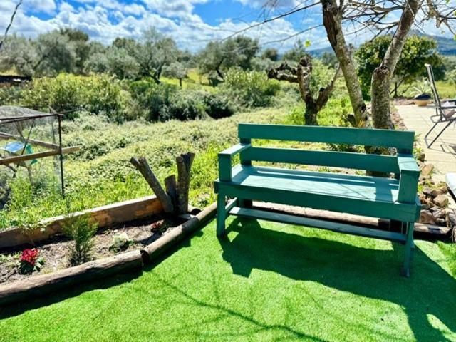 Zion Jardim Monsanto Bed and Breakfast Exteriör bild