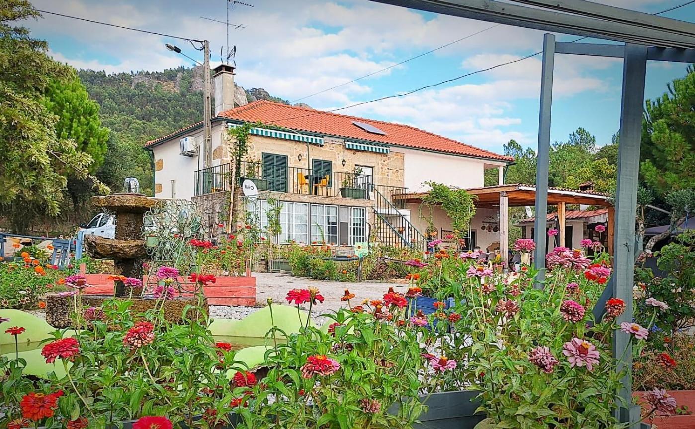 Zion Jardim Monsanto Bed and Breakfast Exteriör bild